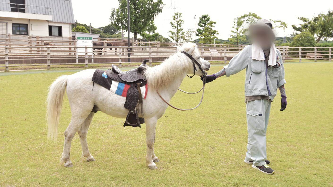 野間馬ハイランド　乗馬