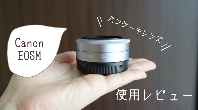 Canon 単焦点広角レンズ EF-M22mm F2 STM シルバー-