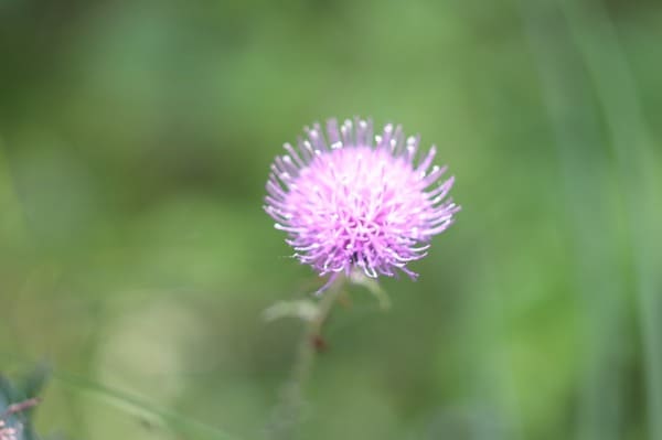 HELIOS-44-2ヘリオス